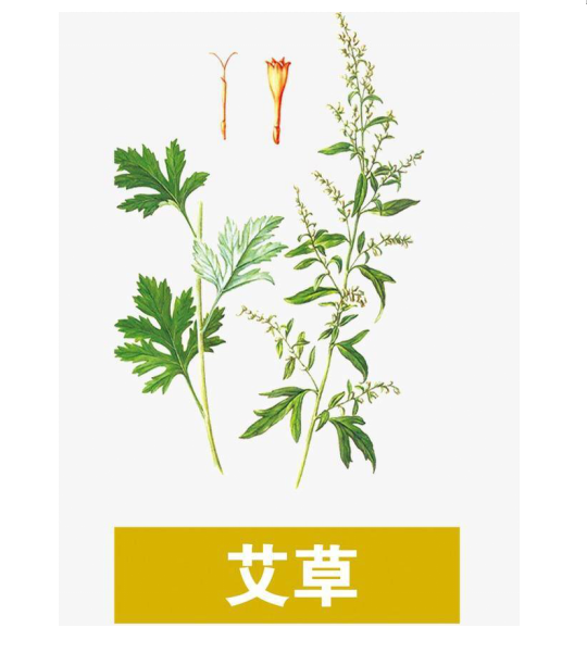 360截图16230311517658.png